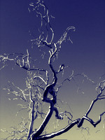 iPhoneFun-4