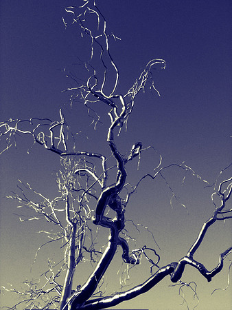 iPhoneFun-4